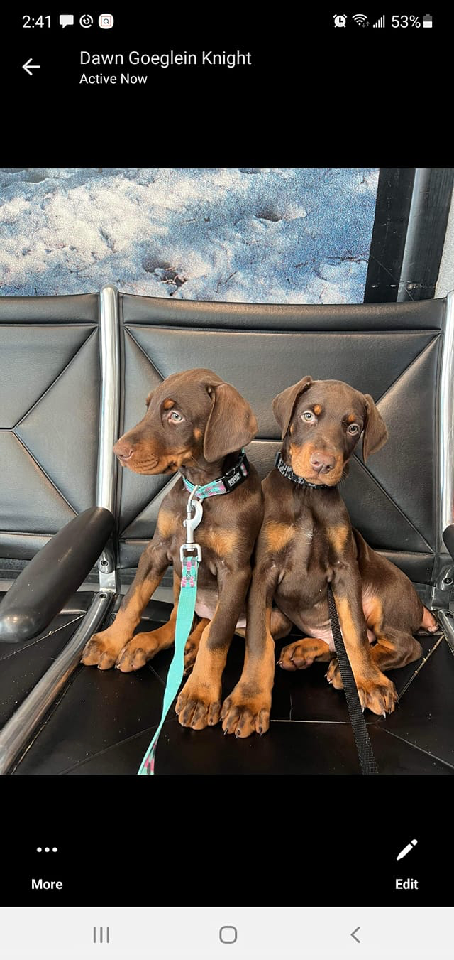 Two of “Black’s” siblings off to the airport