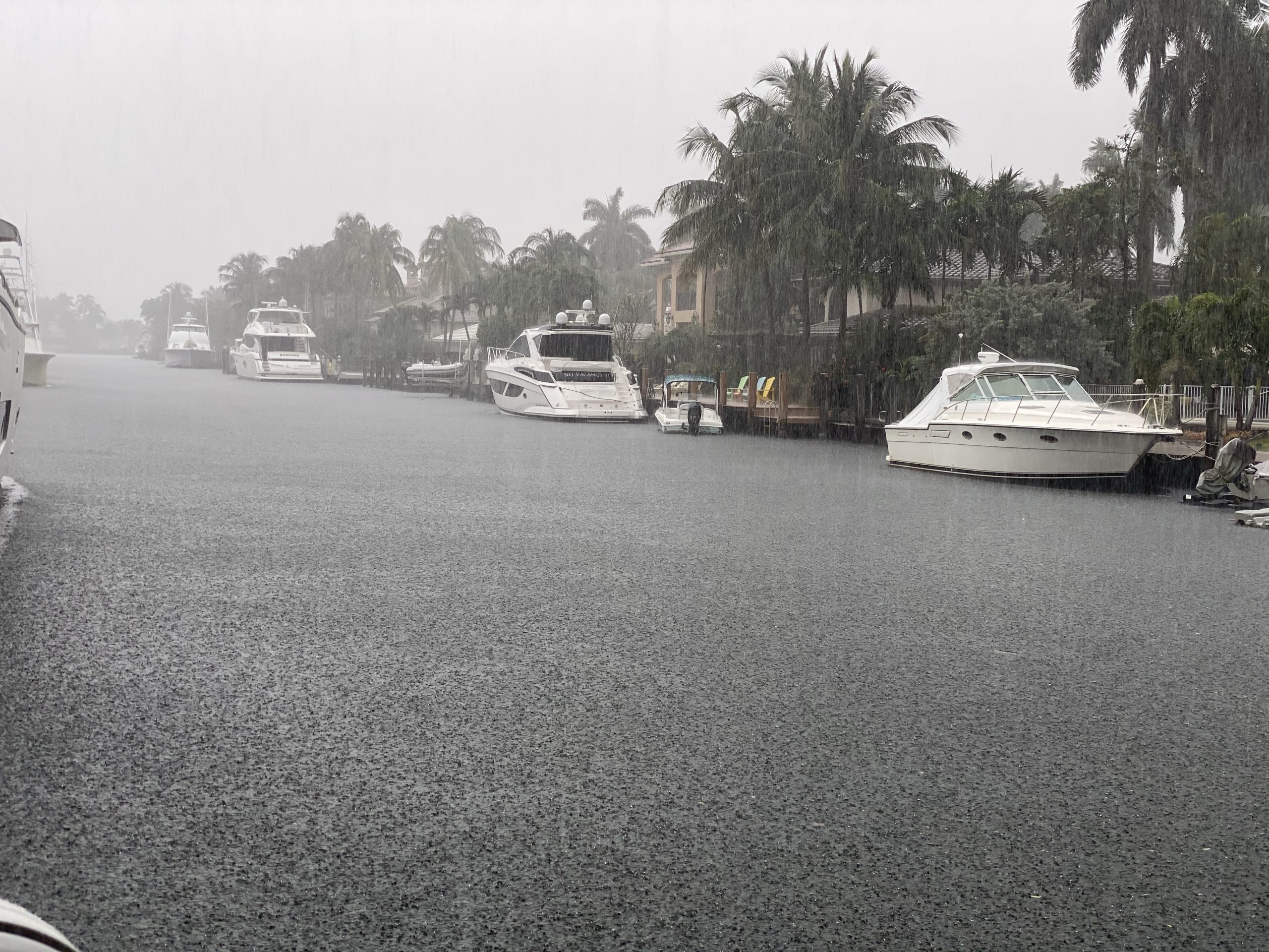 Come to Fort Lauderdale, enjoy the sun, the warmth