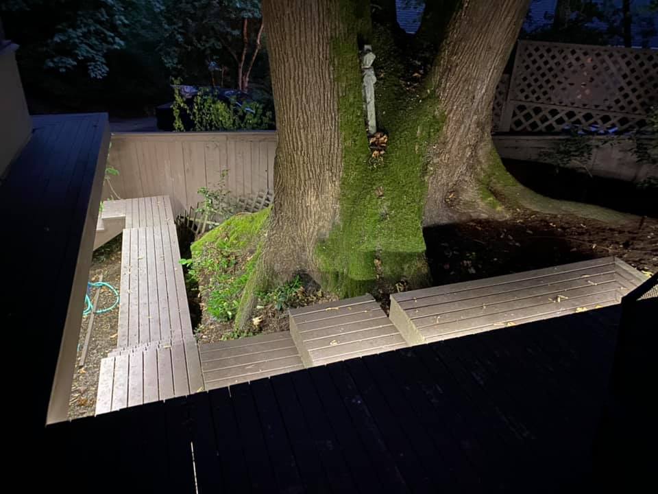 Strut and Spring are getting g on a bit and at night in the dark ar