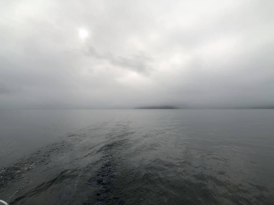Yeah, foggy