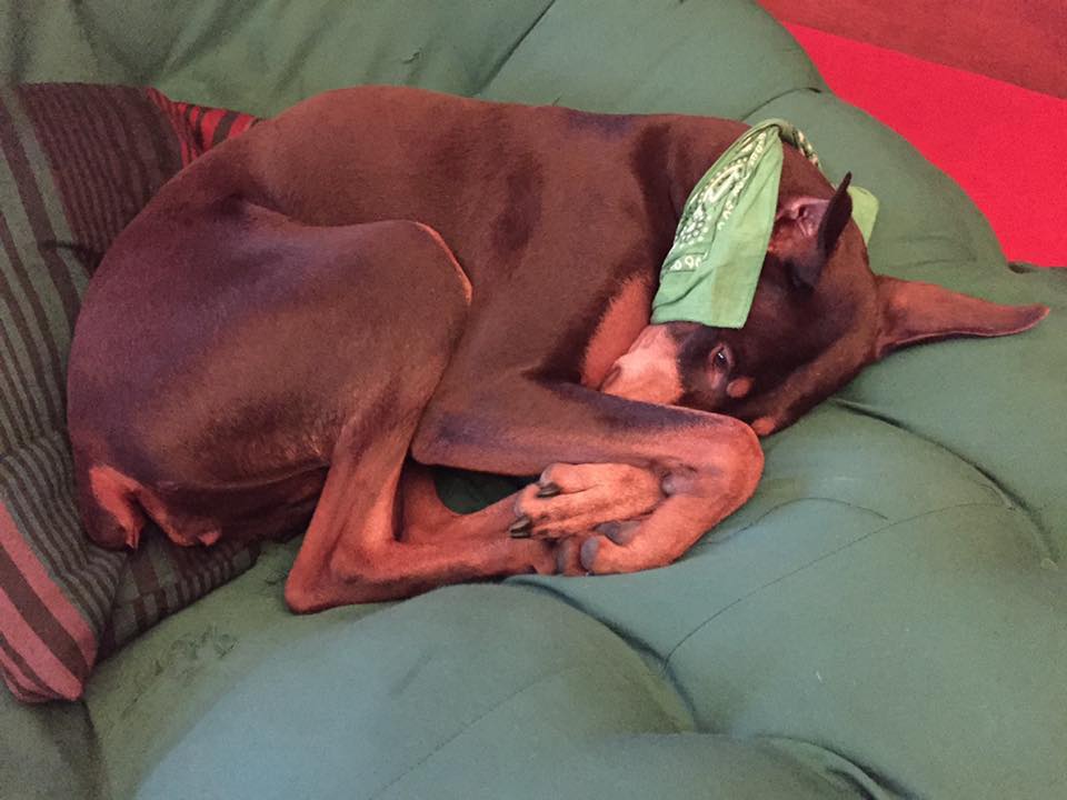 Spring sleeping determinedly…