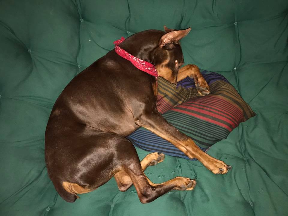 Strut late at night by himself in the papasan…