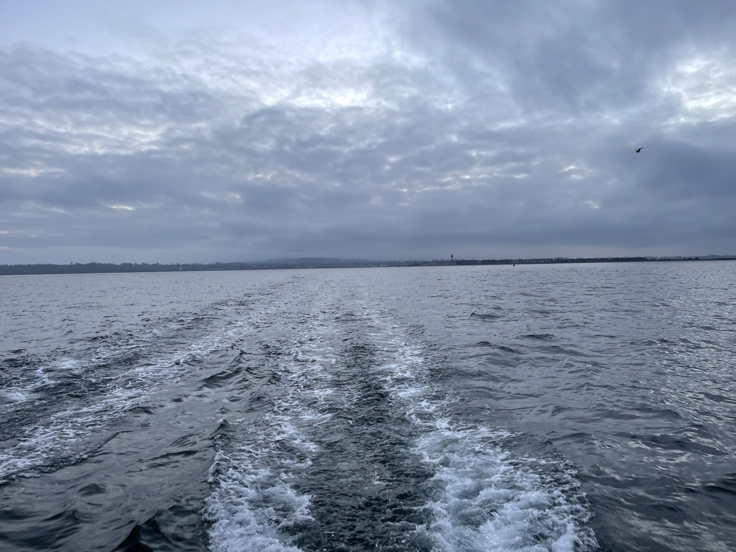 Racing Dawn